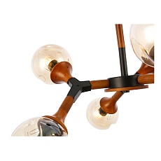 Потолочная люстра Evoluce Raquel SLE109402-06 3