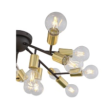 Потолочная светодиодная люстра ST Luce Foglione SL437.402.20 1