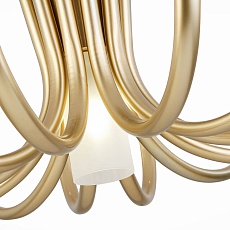 Потолочная люстра ST Luce Pafe SL1173.202.13 4