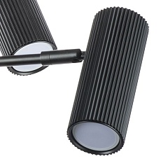 Подвесная люстра Lightstar Roma 718267 4