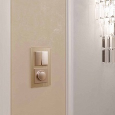 Диммер Werkel шампань W1142011 4690389157202 3