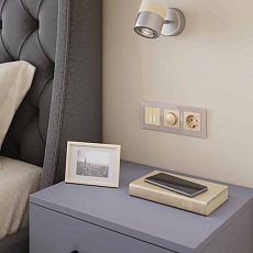 Диммер Werkel шампань W1142011 4690389157202 4