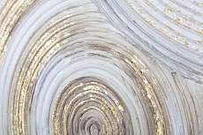 Холст Tomas Stern 85068 1