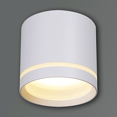 Накладной светильник Reluce 53055-9.5-001UR GX53 WT 2